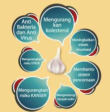Bawang putih mengandung berbagai mineral seperti kalsium dan potasium, sertavitamin c, serta antioksidan. Kelebihan Bawang Putih Garlic Balm Sungai Petani Facebook