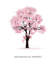The filaments are one of the basic parts of the cherry blossom. Japanese Cherry Tree Sticker Cherry Blossom Tree Png Stunning Free Transparent Png Clipart Images Free Download
