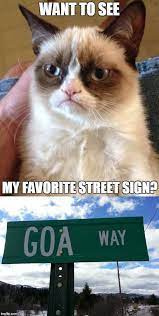 Create And Share Awesome Images Funny Grumpy Cat Memes Funny Animal Jokes Grumpy Cat Humor