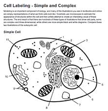 These activities on cells are studied in several levels and we made them such that they can be used to study in the classroom or at home. 30 Label The Cell Organelles Label Design Ideas 2020