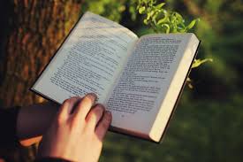 When all are welcome, debie thomas journey with jesus. Difference Between Linear And Nonlinear Text Compare The Difference Between Similar Terms