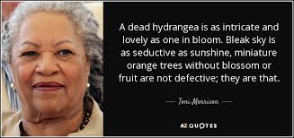 2020 popular 1 trends in home & garden, toys & hobbies, jewelry & accessories with miniature trees and landscapes and 1. Toni Morrison Quote A Dead Hydrangea Is As Intricate And Lovely As One
