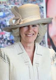 Camilla, ducesă de cornwall este a doua soție a prințului charles al regatului unit. 39 Camilla Ideas PÄƒlÄƒrie PrinÈ›ese Familii Regale
