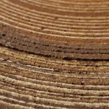 Bildergebnis für Eve Ariza