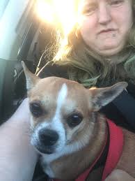 Cute animal found in 59th and Minnehaha backyard