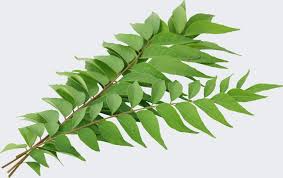 મીઠો લીમડો ખાવાના છે અગણિત ફાયદા