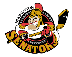 They must be uploaded as png files, isolated on a transparent background. Binghamton Senators Wikipedia