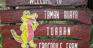 Cewek jepang buka baju semuanya hot banget. Orang Sabah Taman Buaya Tuaran