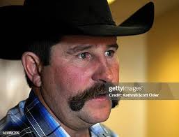 19 Downare Stock Photos, High-Res Pictures, and Images