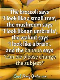 Stupid Funny Quotes Cool Funny Quotes
