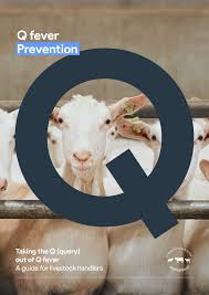 Image result for Q Fever