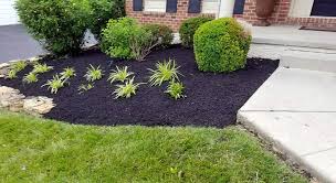 Check spelling or type a new query. Buzz Cut Lawn Care Landscaping Pennsylvania Pa Lawn Care Services Pa Landscaper Chester Springs Glennmore Exton Downingtown