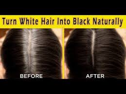 .hair turns into black fast can white hair turn black again best hair oil for white hair to black white hair problem in teenage how to prevent white hair from spreading white white hair turn black permanently in 1 days naturally. This Remedy Will Transform Your White Hair Into Black Naturally Permanent Solution For Grey Hair Youtube