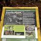 ???? Natural Area Preserve Stewardship Days – Sa... event in Cape Charles, VA