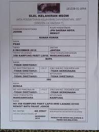 Sijil kelahiran didaftarkan oleh pejabat pendaftaran sivil setiap negeri. Sekarang Kucing Kena Ada Sijil Kelahiran Kucingsayang Com Facebook