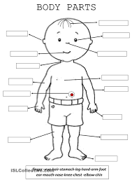 Vocabulary worksheet containing body parts vocabulary. Pin On English