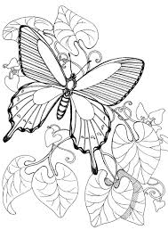 These alphabet coloring sheets will help little ones identify uppercase and lowercase versions of each letter. Butterfly Coloring Pages For Kids 100 Pictures Print For Free