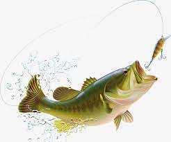 Cartoon Vector Salpicos De Agua E De Peixes Splish Splash Peixes Dos Desenhos Animados Vector De Peixe Imagem Png E Vetor Para Download Gratuito Cartoons Vector Fish Fish Clipart