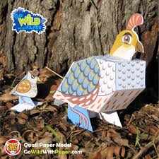 Birds That Start With The Letter Q Quail Craft Activity 3d Paper Model Craft Activities Crafts Paper Models