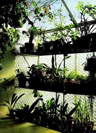 Socker greenhouse, white provides a good environment for seeds to sprout and plants to grow. Orchids In A Window Greenhouse