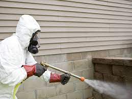 Crawl space mistakes could wind up costing you thousands of dollars or the sale of your home. Crawl Space Pests