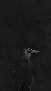 Dribbble Crow Iphone5 Png By Dave Riensche Shades Of Black Black Bird Black And White