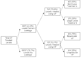 Flow Chart Explaining The Percentages Of Cement Leakage