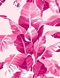 Josie davis at the mr. Electric Pink Banana Leaves Wallpaper