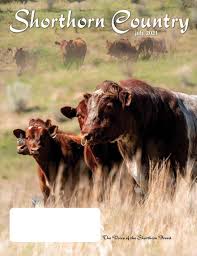 2021 Shorthorn Country July by SCI