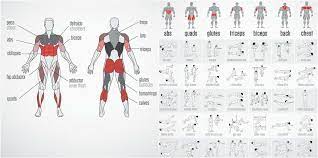 Daily 28 Days No Gym Total Body Workout Plan Gymguider Com