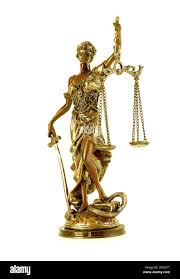 Image result for Justicia nuttii