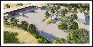 Image result for Dactyladenia gilletii