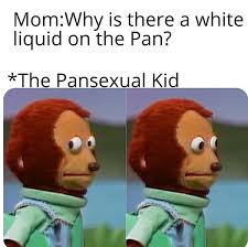 A way of describing cultural information being shared. Meme Pansexual