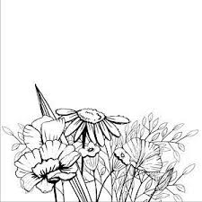 Black And White Sunflower Clipart Border Paisley Clipart Colorful Bohemian Clip Art Hand Drawn Etsy Clip Art Borders How To Draw Hands Wreath Clip Art