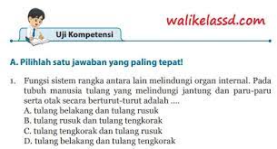 We did not find results for: Kunci Jawaban Ipa Kelas 8 Uji Kompetensi Bab 1 Halaman 66 67 68 69 70 Wali Kelas Sd
