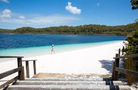 It's a popular tourist spot, attracting over 350,000 people a year, yet there are many things about the island you may be surprised to learn. Beginner S Guide To Fraser Island