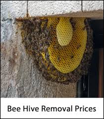 Maybe you would like to learn more about one of these? Bee Hive Removal Costs 2021 How Much Does It Cost To Get Rid Of Bee Hives Free Bee Exterminator Prices Near Me