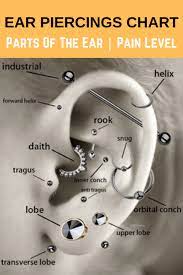 Ear Piercings Chart Ear Piercings For Men And Women Positivefox Com