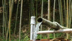 Then spray a light mist of. Watering Bamboo How Much And When Bambu Batu