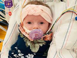 Fundraiser for Hailey Chambers by Zachary Chambers : Dear Darla #HeartofGold