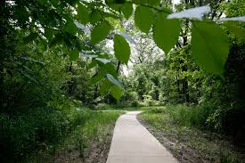 Maybe you would like to learn more about one of these? Dallas Wants To Protect The Great Trinity Forest But Who Will Protect The Forest From Dallas