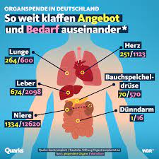 Quarks Deutschland Hat Ein Organspende Problem Heute Debattiert Der Bundestag Deshalb Wie Man Die Spenden Neu Regeln Kann Wie Denkt Ihr Uber Organspenden Macht Mit Bei Unserer Kurzen Umfrage Http Bit Ly 2kbtovx Facebook