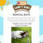 NorCal Bats