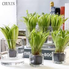 Korean interior design inspiration and korean home decor ideas. Korean Home Decoration Mini Bonsai Artificial Plant Green Wheat Seedling Glass Mini Potted Artificial Succulent Garden Decor Buy At The Price Of 7 78 In Aliexpress Com Imall Com