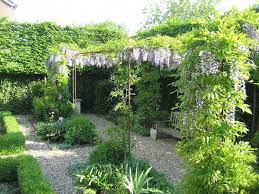 Blauwe Druif En Pergola Pergolaideas Beautiful Gardens Cottage Garden Urban Garden