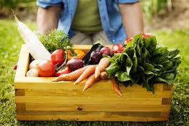 The world's healthiest foods website is a leading source of information and expertise on the healthiest way of eating and cooking. The 33 Healthiest Foods In The World On The Table