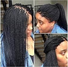 Twist Braid Hairstyles Micro Braids Hairstyles Hair Styles