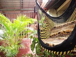 Black And Yellow Bulico Sitting Hammock Hanging Chair Natural Etsy Hammock Hanging Hammock Chair Hanging Chair