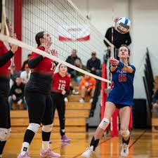 Image result for Deverra burchellii