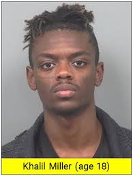 Gwinnett County Police